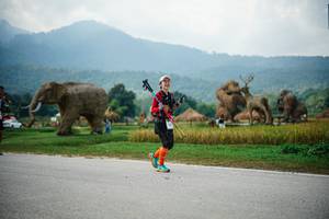 BIB: 
                            <button type="button" onclick="openModal(22435823)" class="btn btn-primary btn-sm float-right btn-popup" data-toggle="modal" data-target=".modal-high-quality">
                        <i class="fas fa-shopping-cart"></i> Add to Cart
                    </button>
                                            <button type="button" onclick="isThisMe(22435823, true)" class="btn btn-success btn-sm float-right btn-popup btn-isme hidden" data-toggle="tooltip" data-placement="bottom" title="นี่คือรูปของคุณใช่ไหม คลิกที่นี่เพื่อเอาเข้าอัลบั้ม">
                        <i class="fas fa-plus"></i> Add to album
                    </button>
                    <button type="button" onclick="isThisMe(22435823, false)" class="btn btn-warning btn-sm float-right btn-popup btn-isnotme hidden">
                        <i class="fas fa-ban"></i> Remove from album
                    </button>